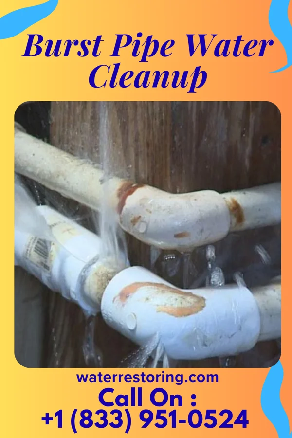 Burst Pipe Water Cleanup in Zimmerman, MN