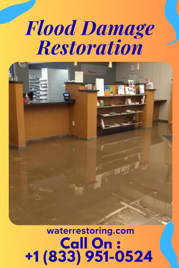 Flood Damage Restoration in Zimmerman, MN